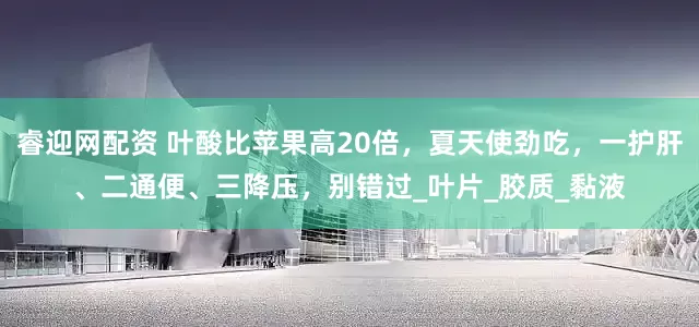 睿迎网配资 叶酸比苹果高20倍，夏天使劲吃，一护肝、二通便、三降压，别错过_叶片_胶质_黏液