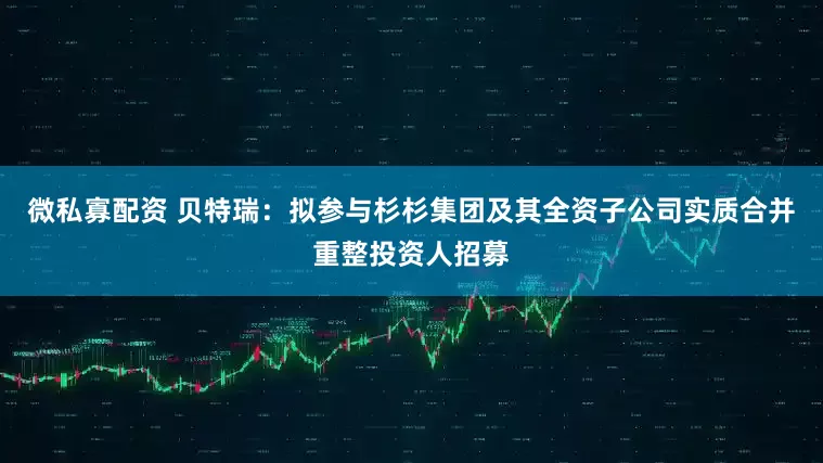 微私寡配资 贝特瑞：拟参与杉杉集团及其全资子公司实质合并重整投资人招募