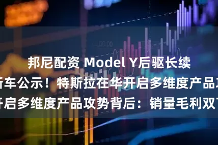 邦尼配资 Model Y后驱长续航版亮相工信部新车公示！特斯拉在华开启多维度产品攻势背后：销量毛利双下滑
